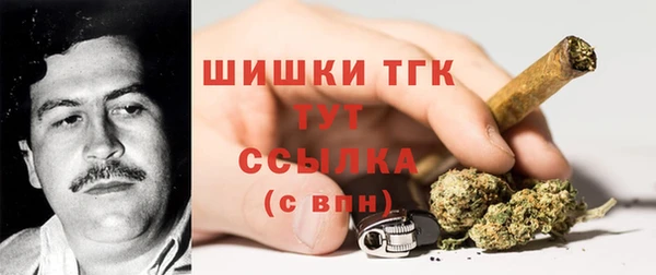 дмт Верея