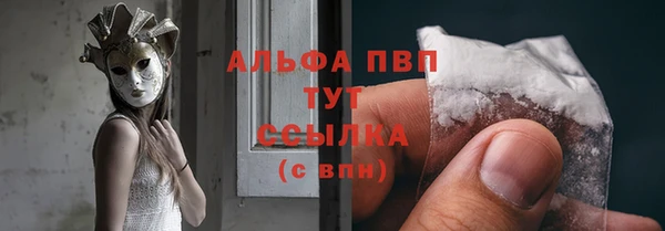 сатива Володарск